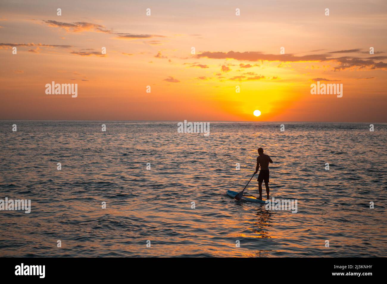 Paddleboarder on the Pacific Ocean at sunset; Cabo San Lucas, Baja California Sur, Mexico Stock Photo