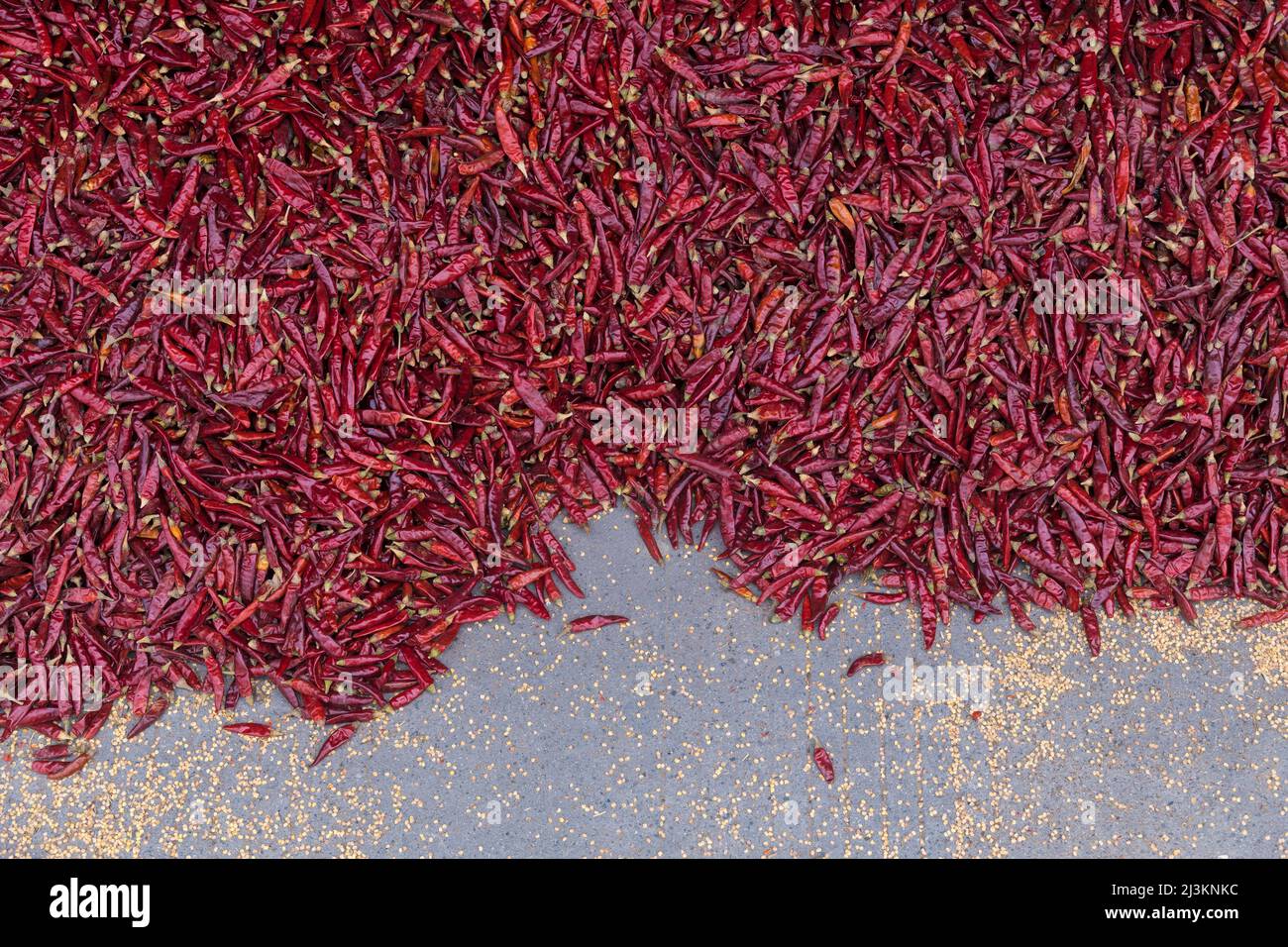 A pile of red chillies (Capsicum) for sale in Chengdu Market; Sichuan, China Stock Photo