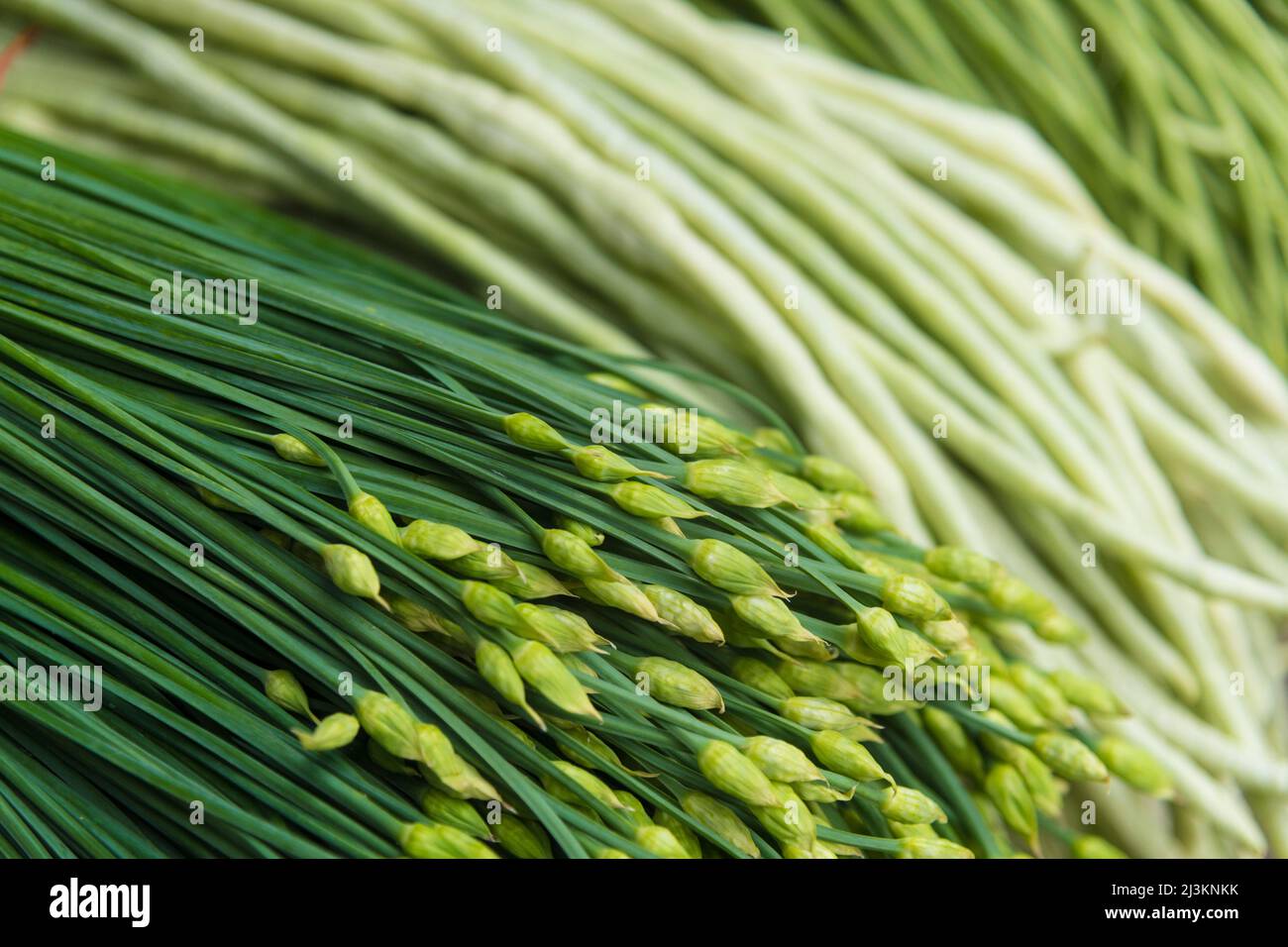 Close-up detail of fresh vegetables, garlic sprouts and Chinese long beans for sale in Chengdu Market; Sichuan, China Stock Photo