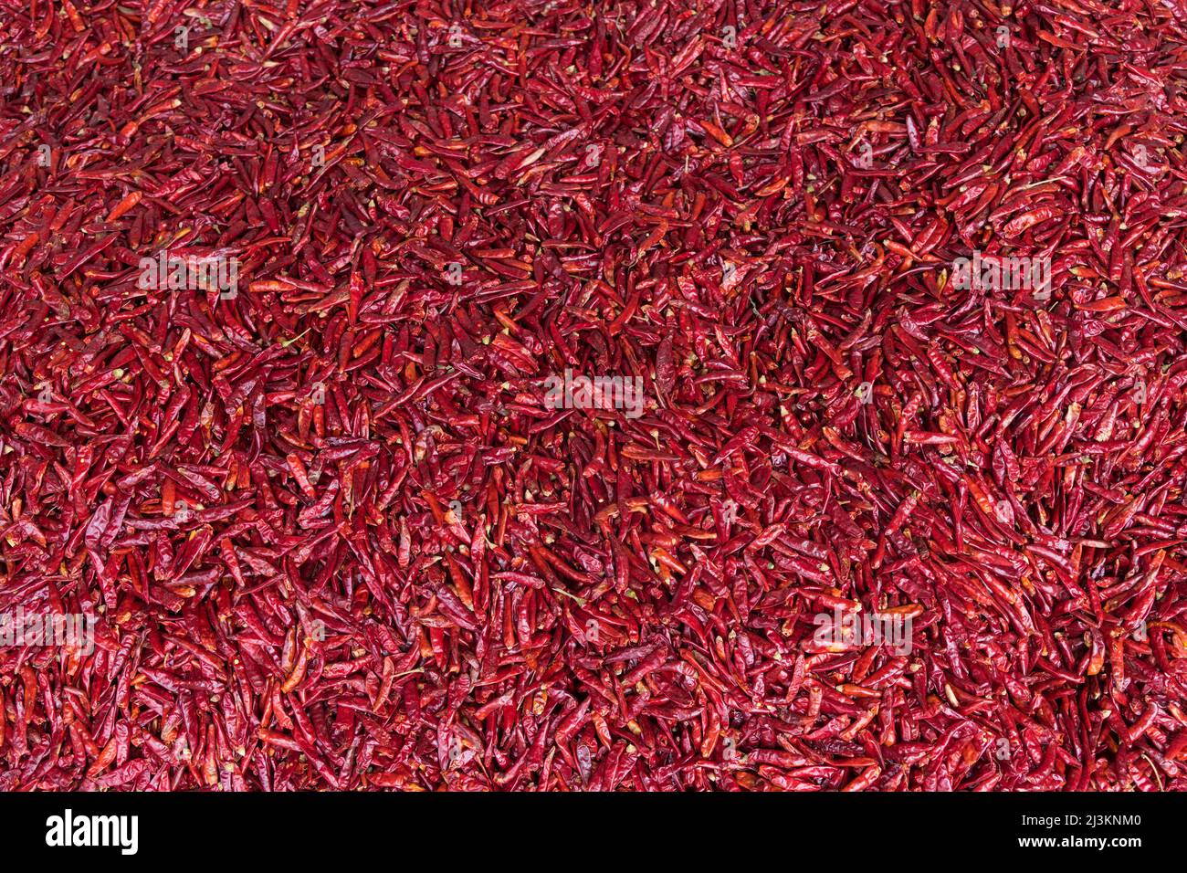 Red chillies (Capsicum) for sale in Chengdu Market; Sichuan, China Stock Photo