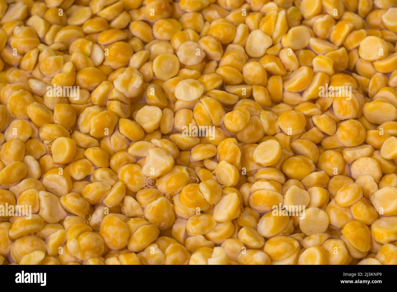split bengal gram soaked in water overnight to cook faster, to make dhal healthy, save time and energy, closeup view taken in shallow depth of field, Stock Photo