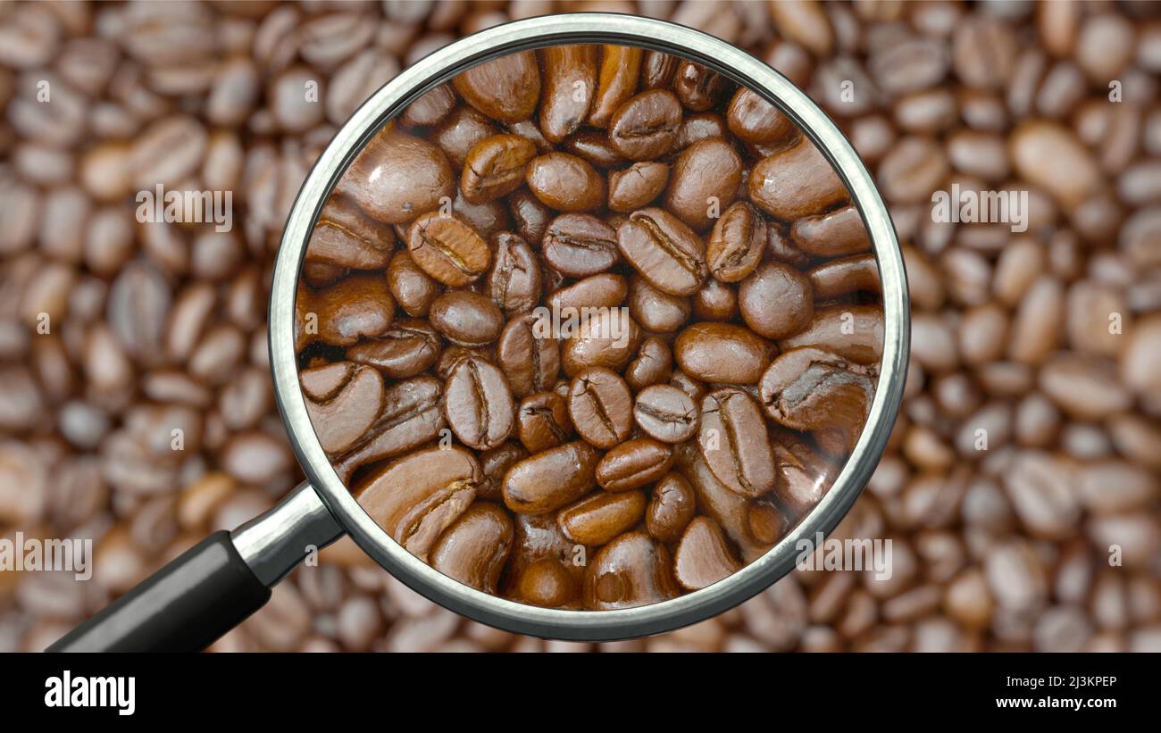Thumbnail for Tested Coffee Beans