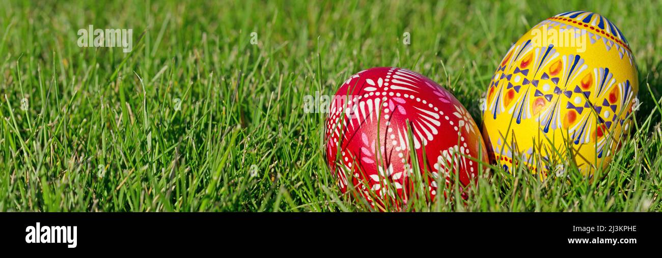 Two hand-painted Easter eggs lie in the grass Stock Photo