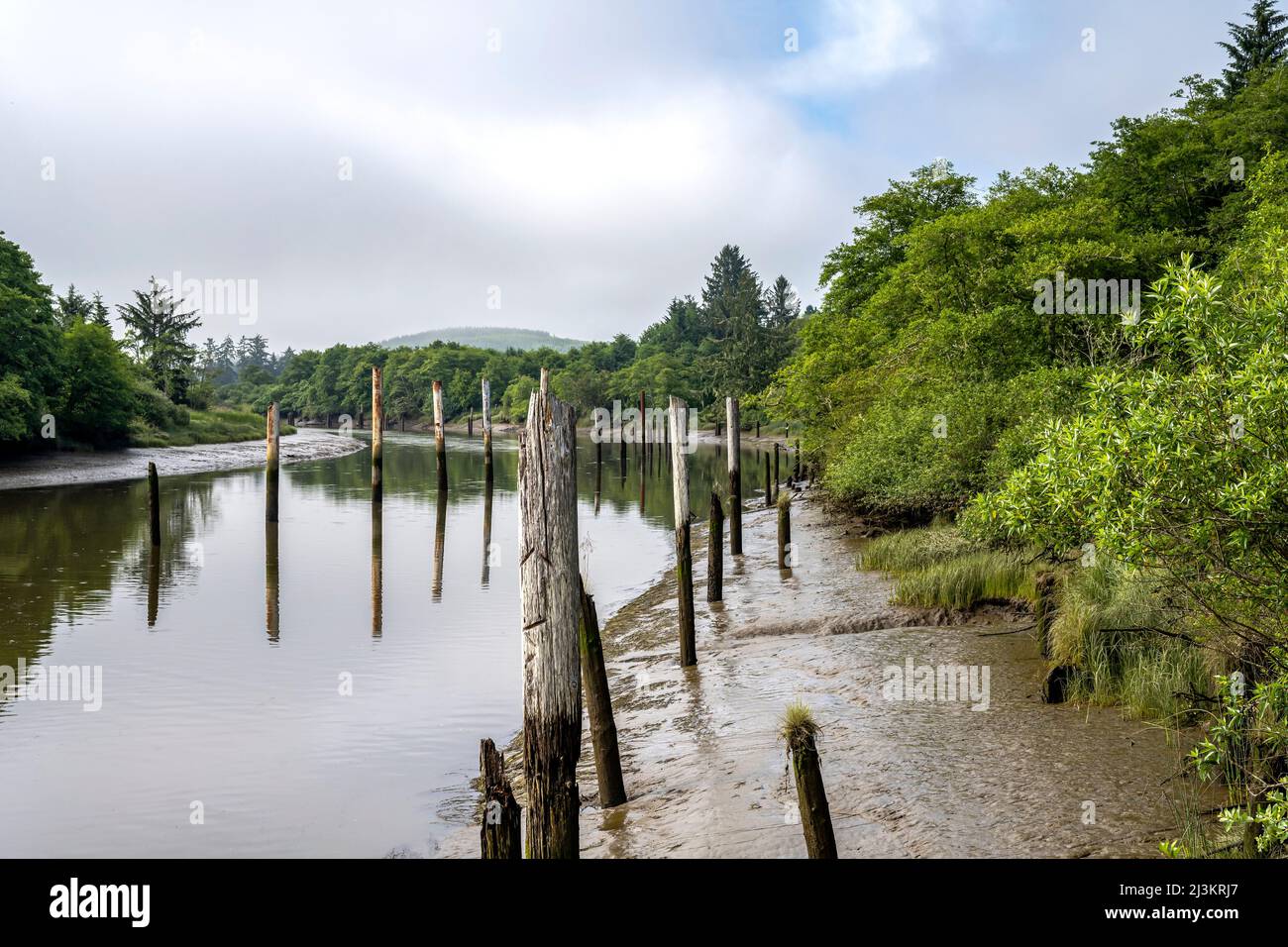 Low tide reveals the Netul River riverbanks at Lewis and Clark National Historical Park in Oregon; Astoria, Oregon, United States of America Stock Photo