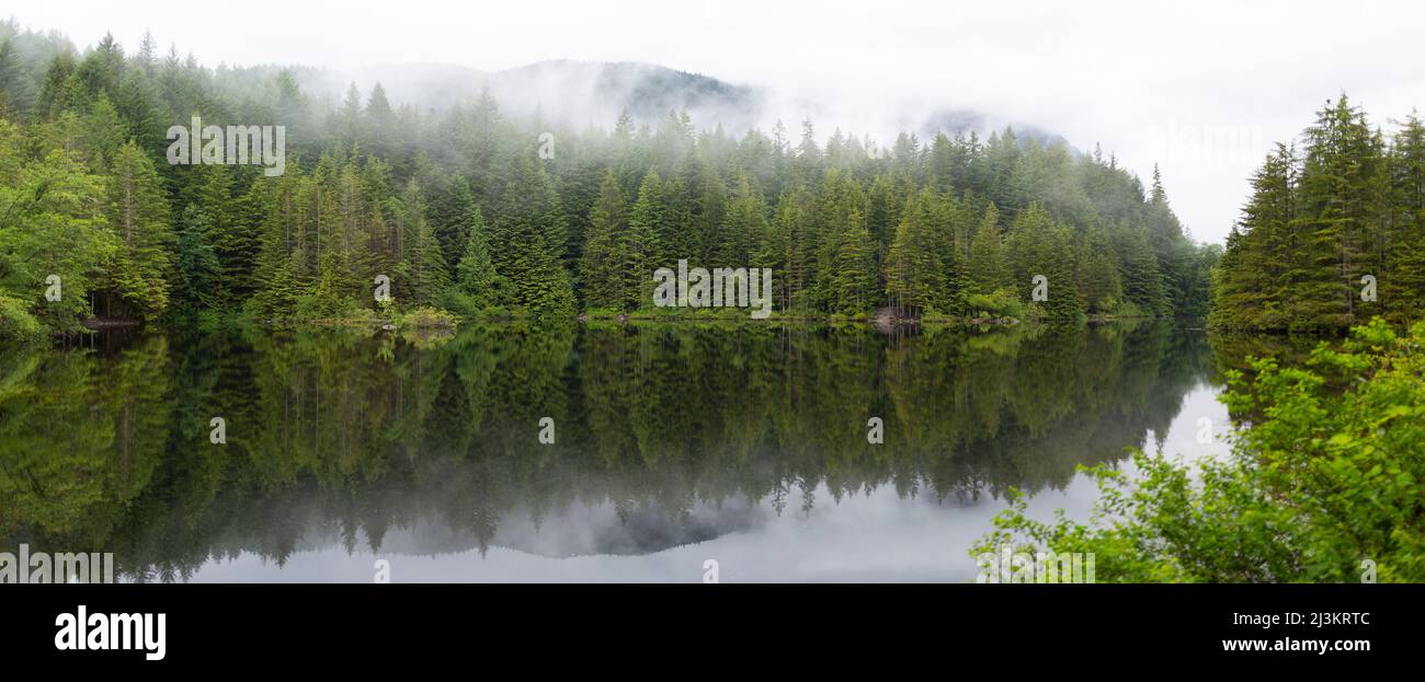 Low clouds sit on the treetops of a lush forest reflected in a tranquil