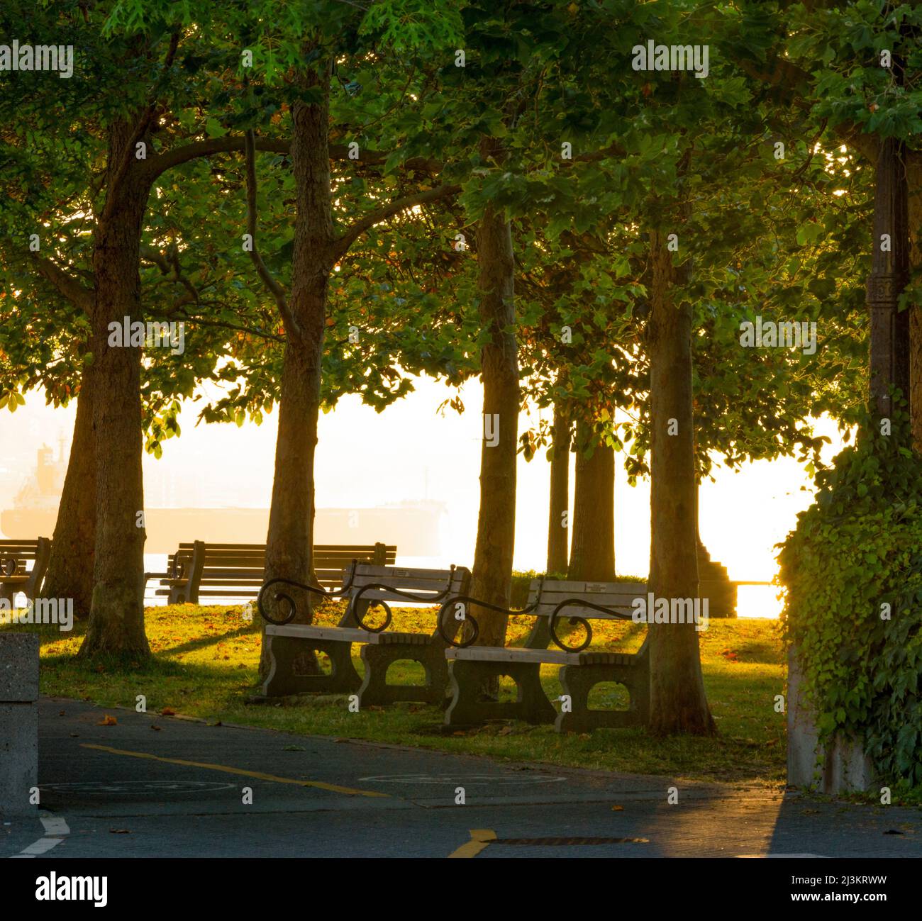 Benches sit under full trees along a trail in a park at sunset; Vancouver, British Columbia, Canada Stock Photo
