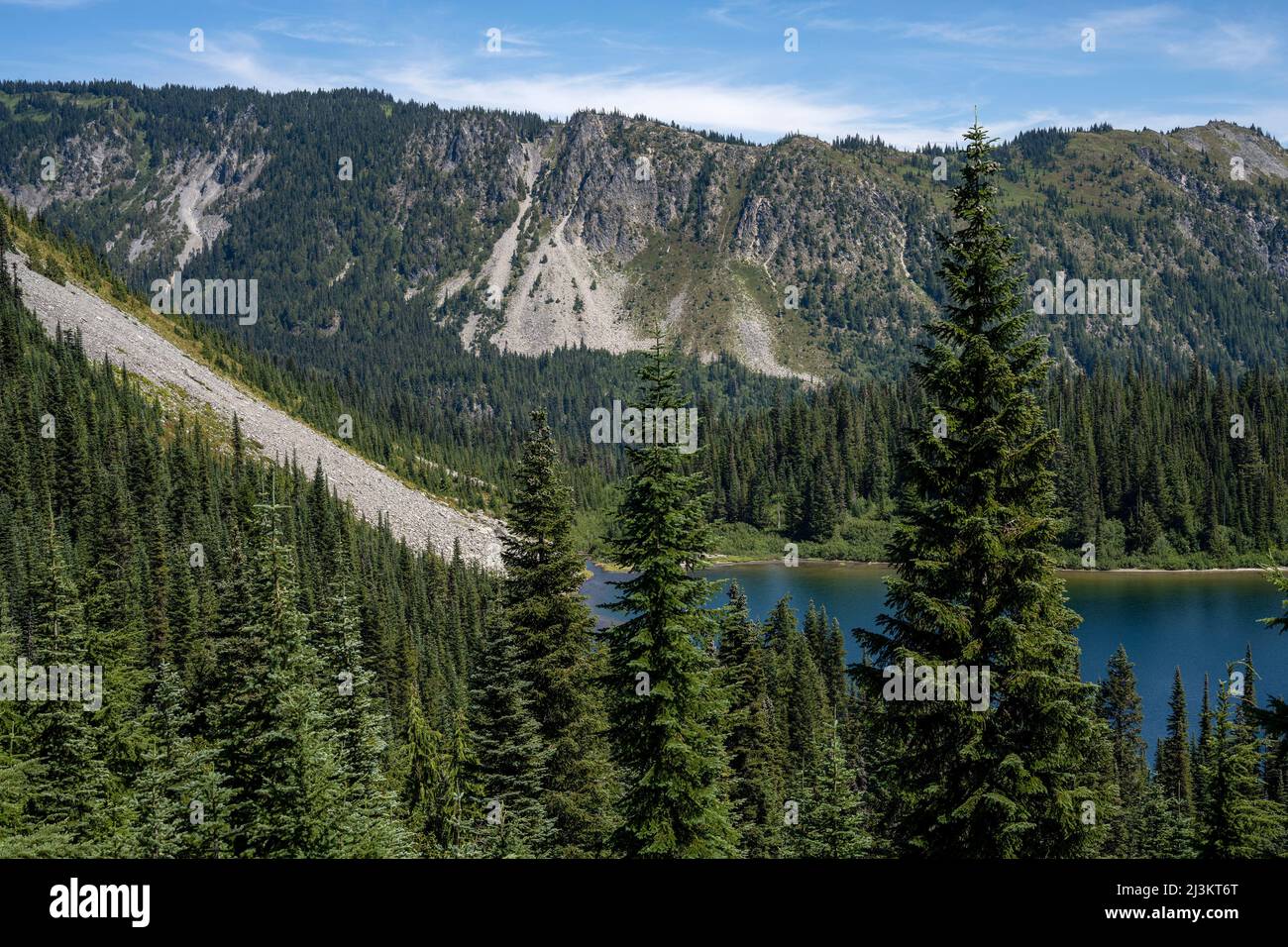 Louise Lake and forest in Mount Rainier National Park, Washington, USA; Longmire, Washington, United States of America Stock Photo