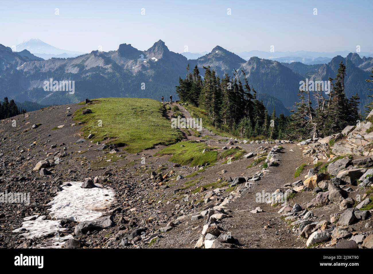 The Skyline Trail offers expansive views of Mount Rainier National Park; Longmire, Washington, United States of America Stock Photo