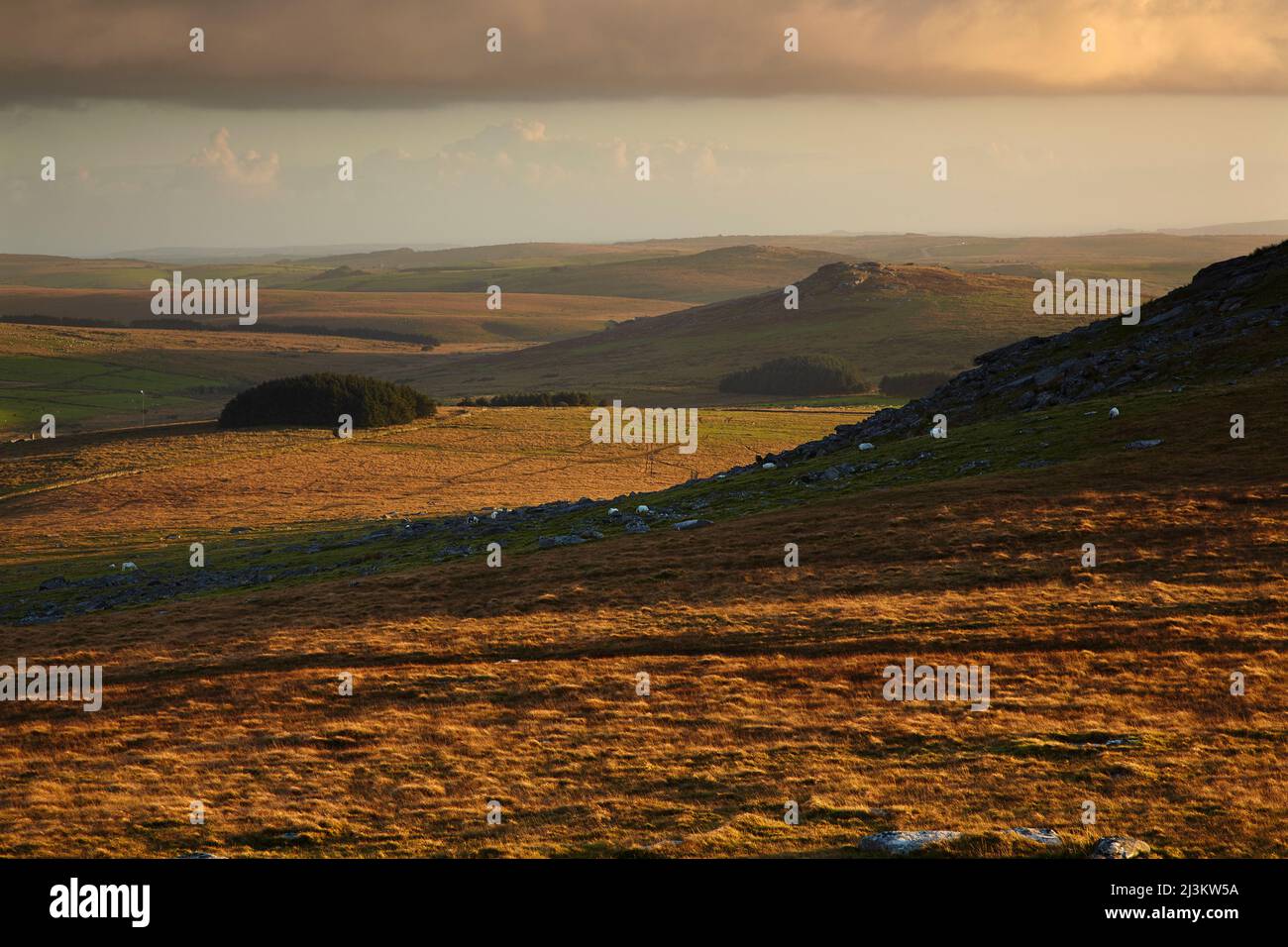 Rocks on Rough Tor silhouetted at sunset with a shelf cloud overhead, Bodmin Moor, near Camelford, Cornwall, Great Britain; Cornwall, England Stock Photo