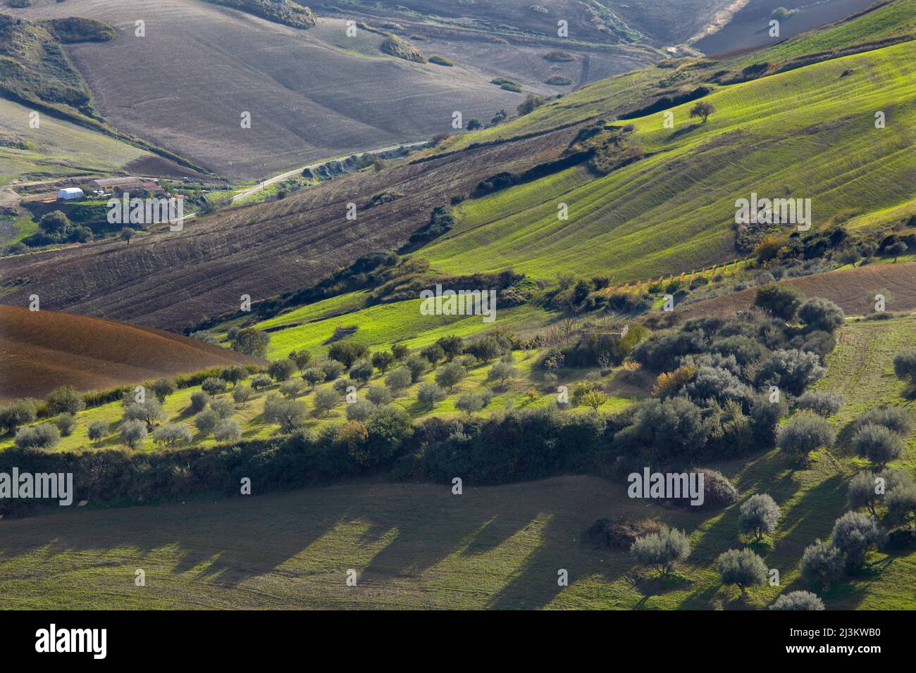 A hilly farmland landscape around Aidone, Sicily, Italy.; Aidone, Sicily, Italy. Stock Photo