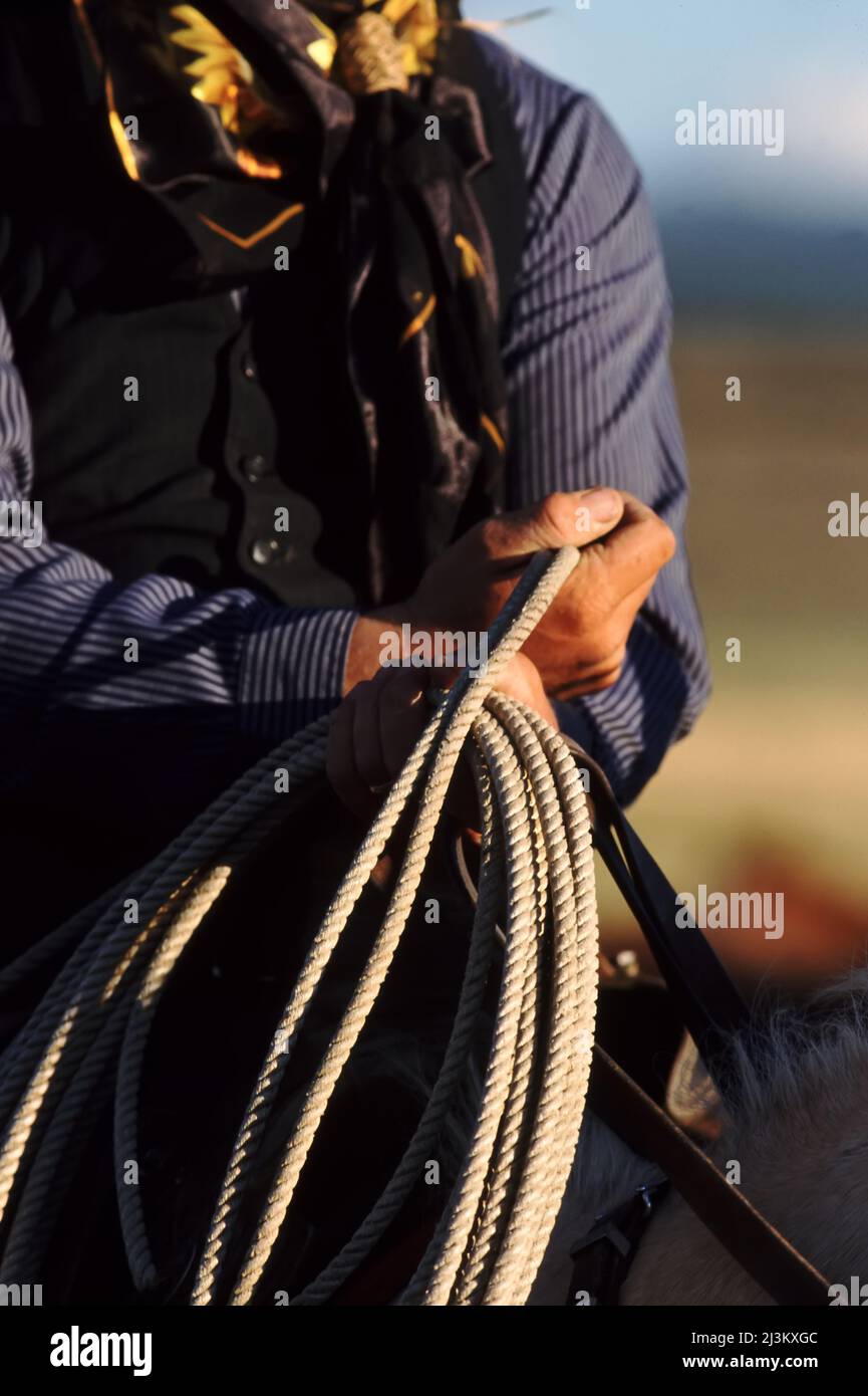 Cowboy on horse with rope lasso in hand; Seneca, Oregon, United States of America Stock Photo