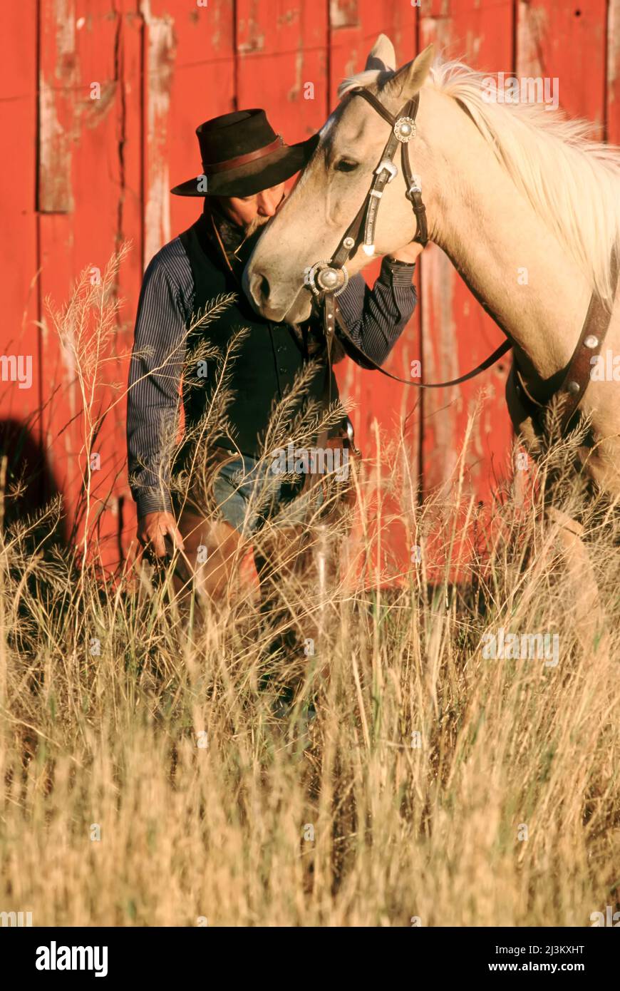 Cowboy waiting with horse, showing tenderness; Seneca, Oregon, United States of America Stock Photo