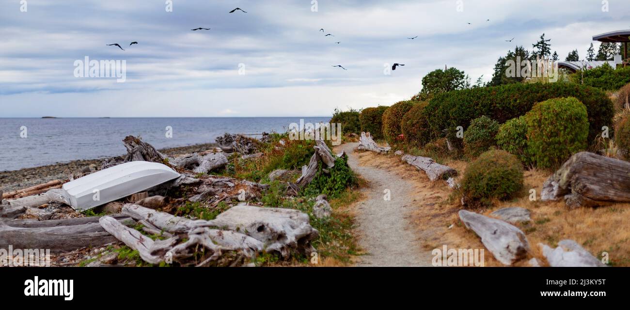 Path along the beach with a rowboat pulled up on shore and seagulls flying overhead, Sunshine Coast; British Columbia, Canada Stock Photo