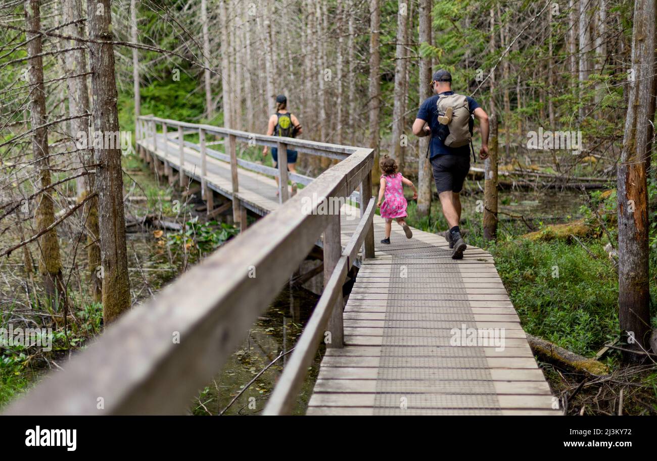 Young family hiking on a boardwalk trail together in Smuggler Cove Marine Provincial Park along the Sunshine Coast of BC, Canada Stock Photo