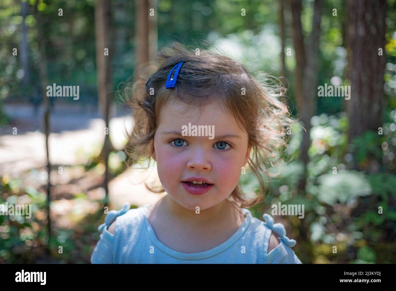 Close-up outdoor portrait of a preschooler girl with blue eyes, blond curls and rosy cheeks; British Columbia, Canada Stock Photo
