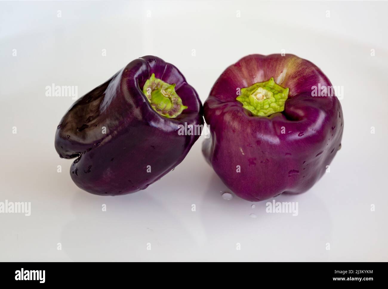 Purple bell peppers on a white background; Studio Stock Photo