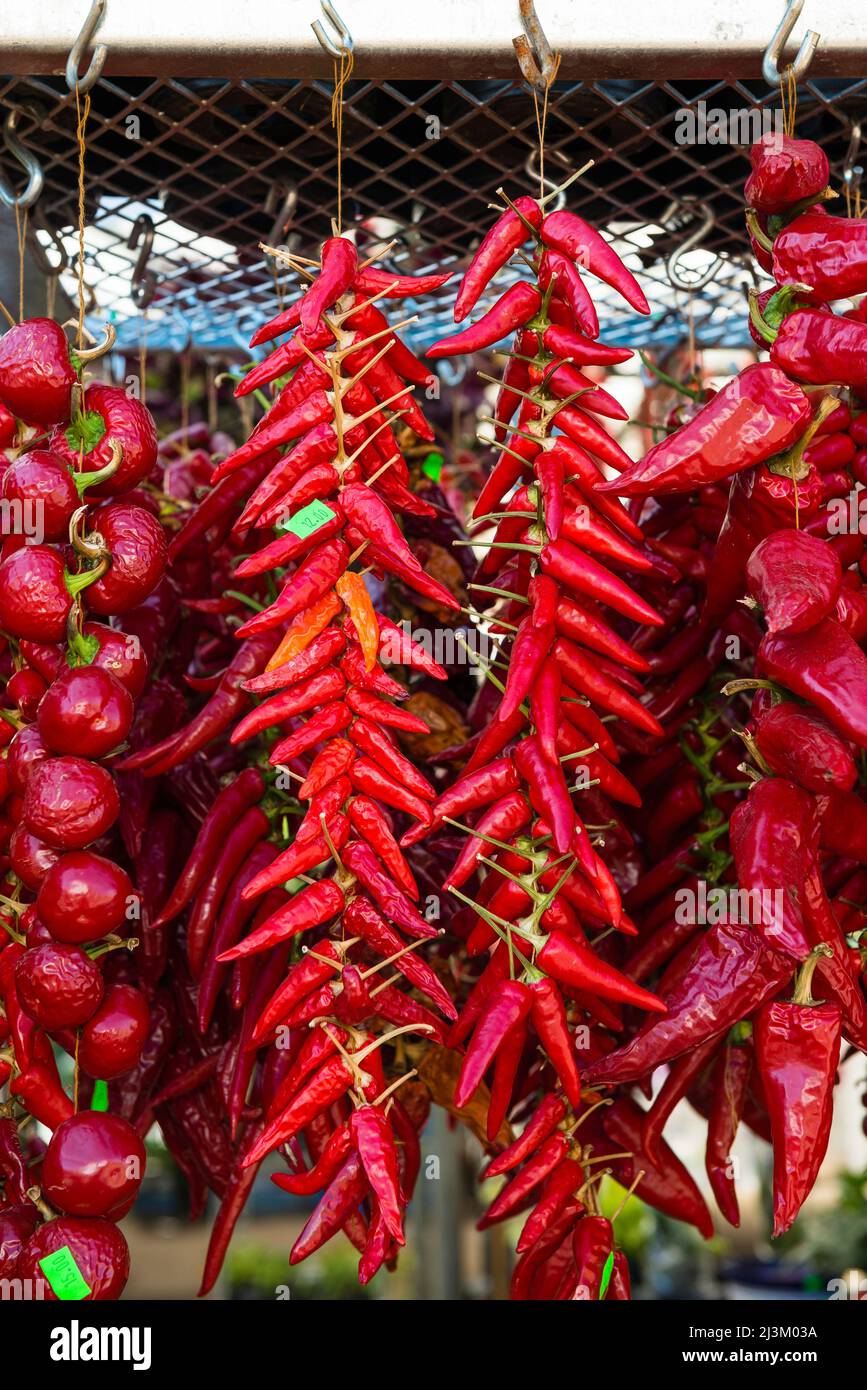 Red chilli peppers hanging on display for sale at the Jean-Talon Market ...