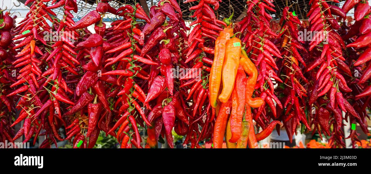 Red chilli peppers hanging on display for sale at the Jean-Talon Market ...