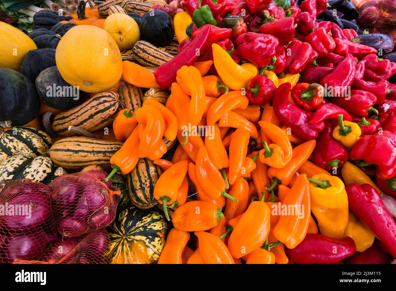 Fresh organic autumn vegetables on display for sale at a street market - pumpkins, red, orange and purple peppers, onions, eggplant Stock Photo