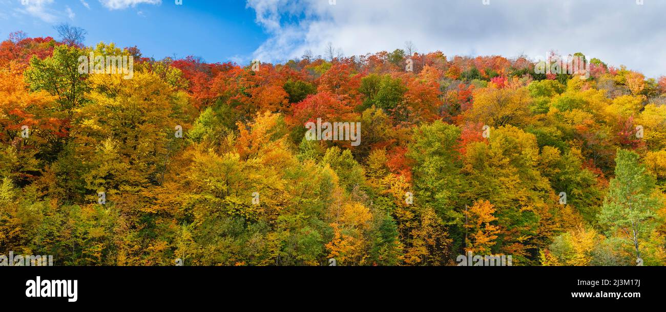 Canada quebec autumn foliage hires stock photography and images Alamy