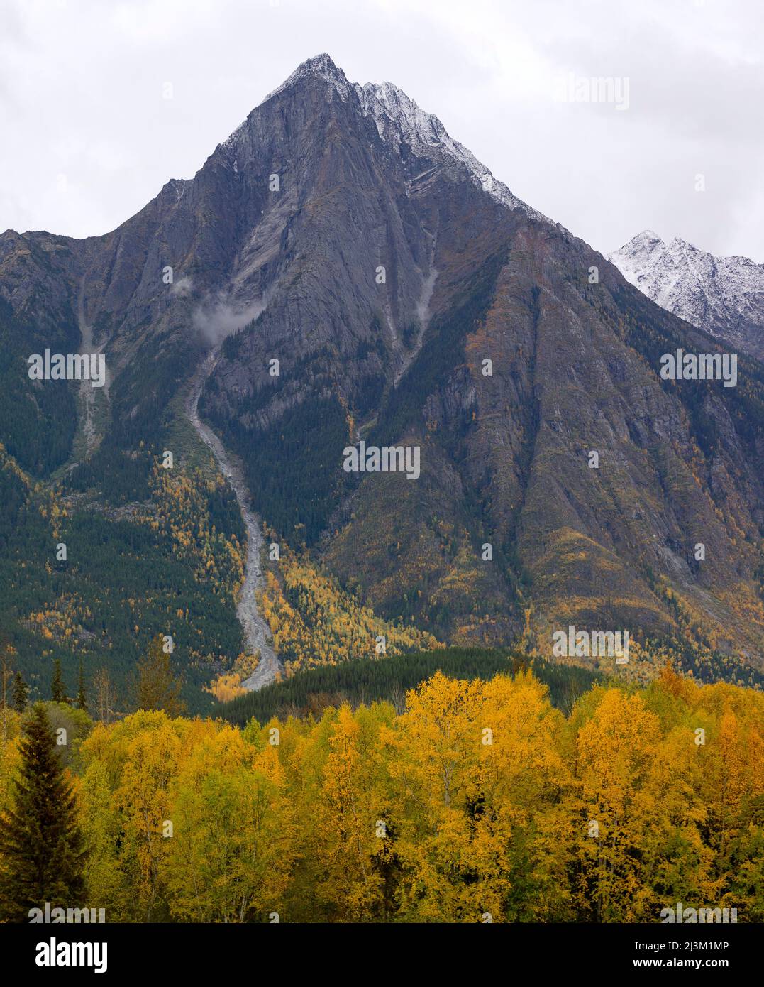 Vast and dramatic landscape of rugged mountain peaks under a cloudy sky and an autumn coloured forest; British Columbia, Canada Stock Photo