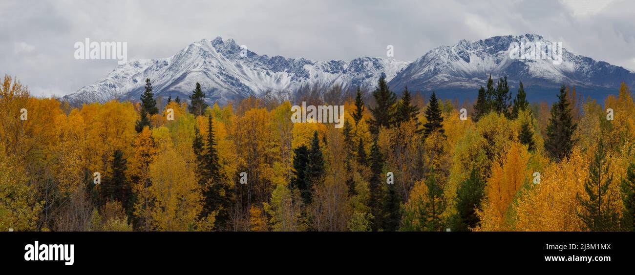 Vast and dramatic landscape of rugged mountain peaks under a cloudy sky and an autumn coloured forest; British Columbia, Canada Stock Photo