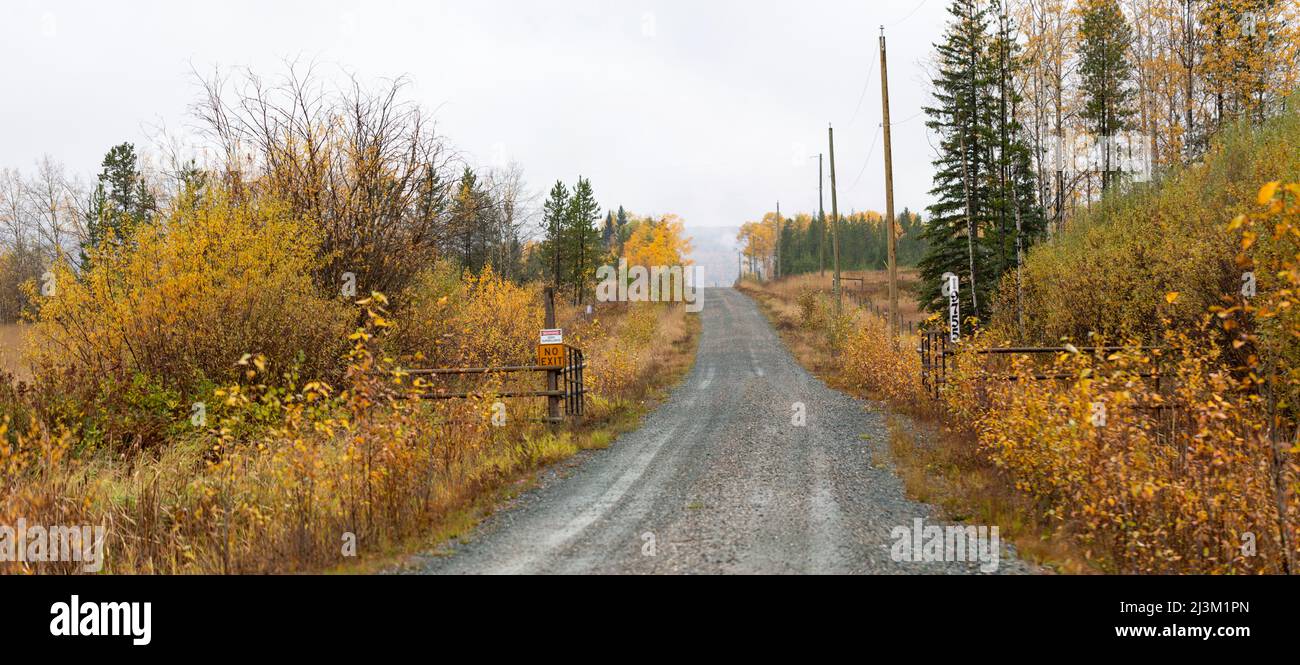 Golden autumn foliage on the trees and shrubs along a country road,  with a house number posted on an open gate, viewed travelling on Highway 97 fr... Stock Photo