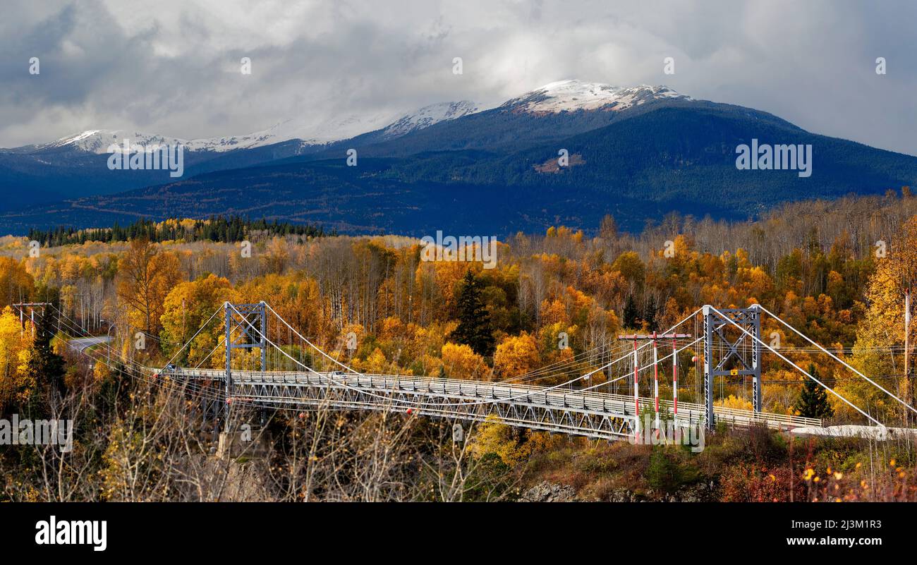 Elevated roadway crossing a valley in an autumn coloured forest in the Hazelton Mountains of BC, Canada; British Columbia, Canada Stock Photo