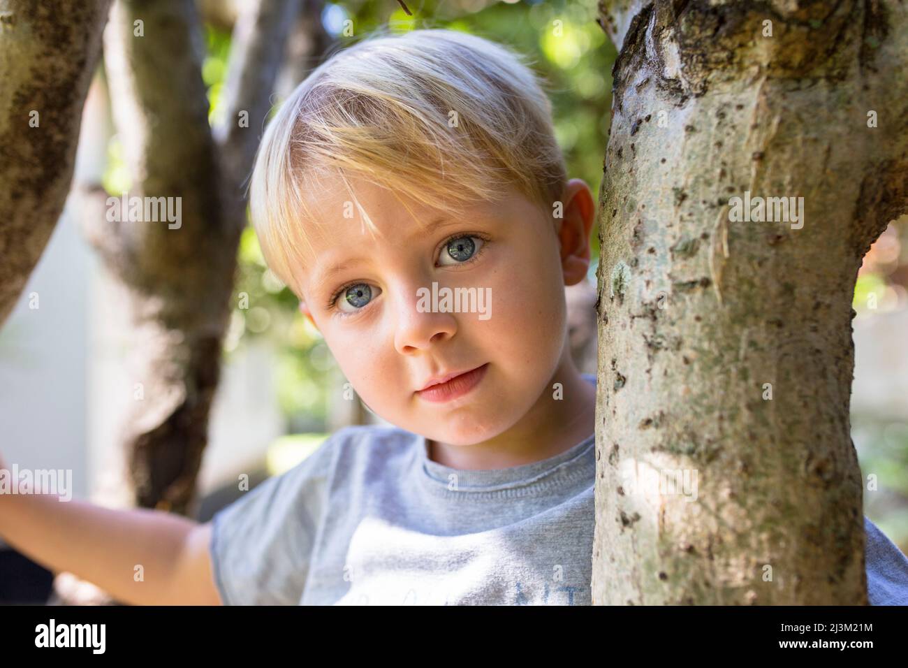 Close-up of a young boy with blue eyes in a tree, looking at the camera; Vientiane, Vientiane Prefecture, Laos Stock Photo