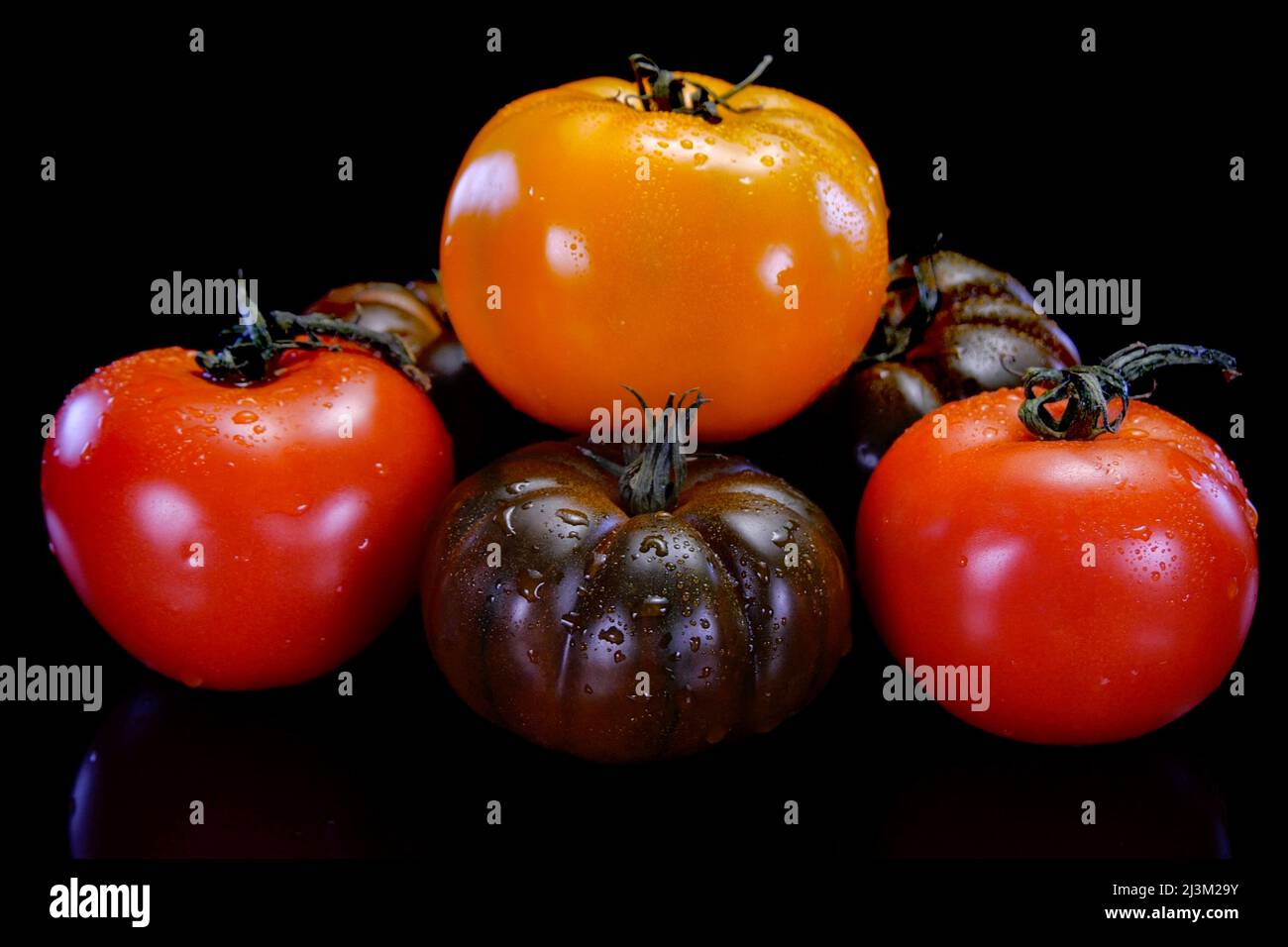 Different kinds of tomatoes on a black background. Fresh and firm tomato. Restaurant, groceries store or agriculture promo. Stock Photo