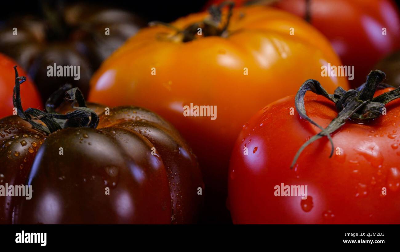 Different kinds of tomatoes on a black background, close up view. Fresh and firm tomato. Restaurant, groceries store or agriculture promo. Stock Photo