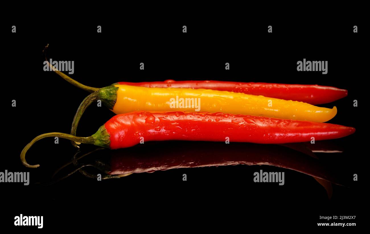 Chilli peppers on a black background. Fresh red and yellow hot chilli pepper. Stock Photo