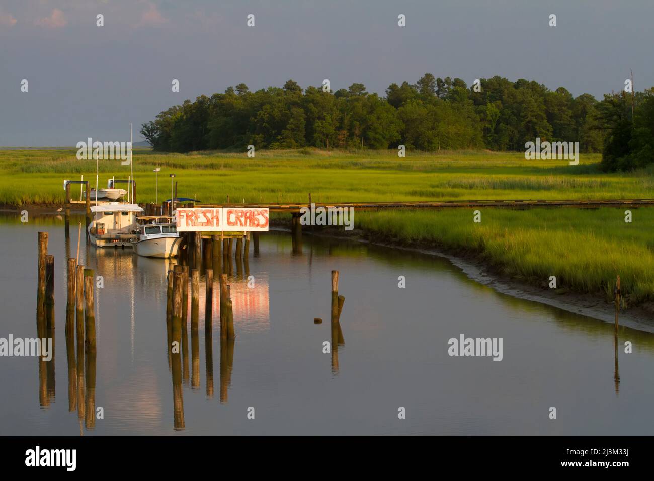 A marsh and boat dock near the York River.; West Point, Virginia Stock