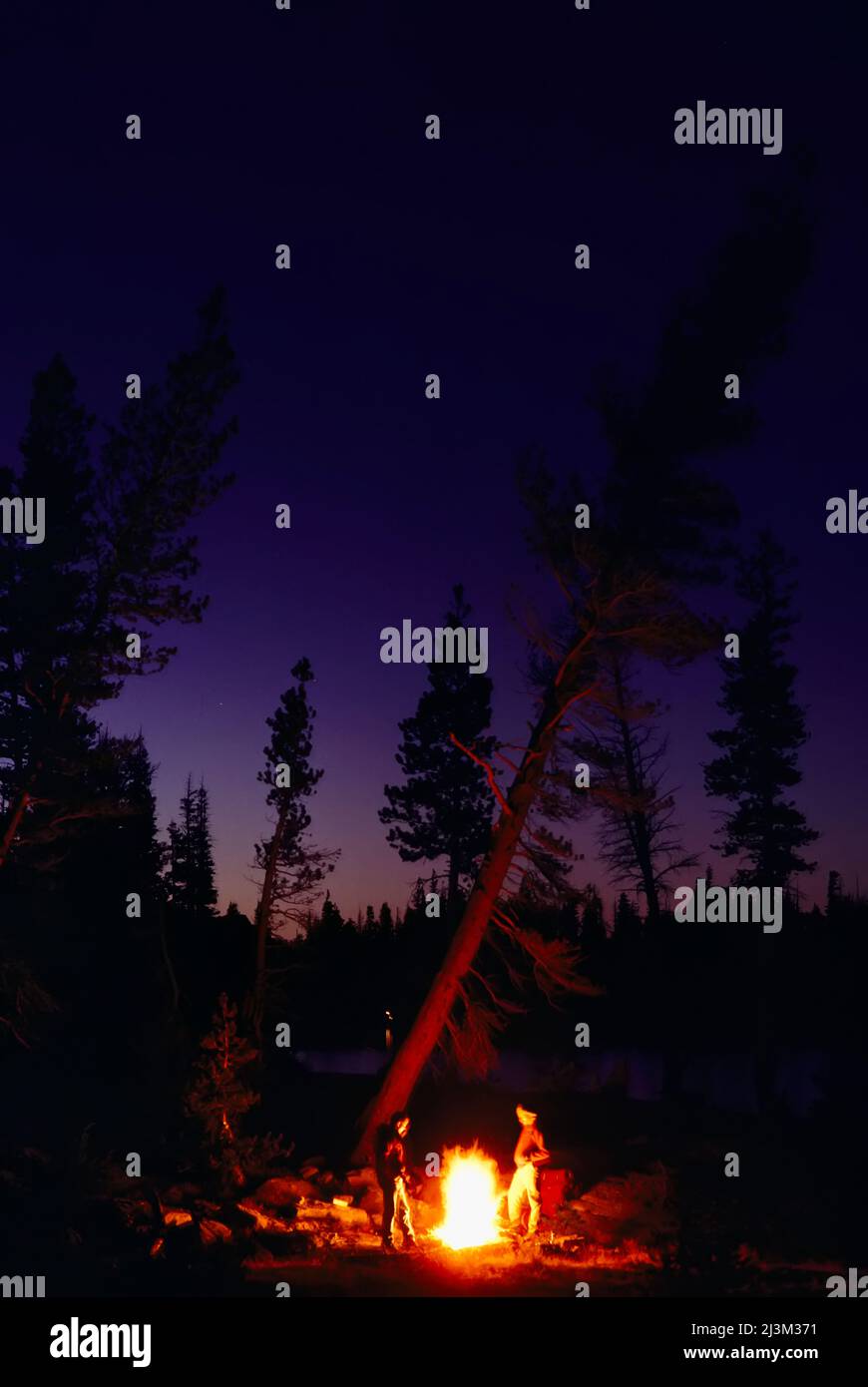 Campfire lights up a tree and campers at Cathedral Lake.; Yosemite ...