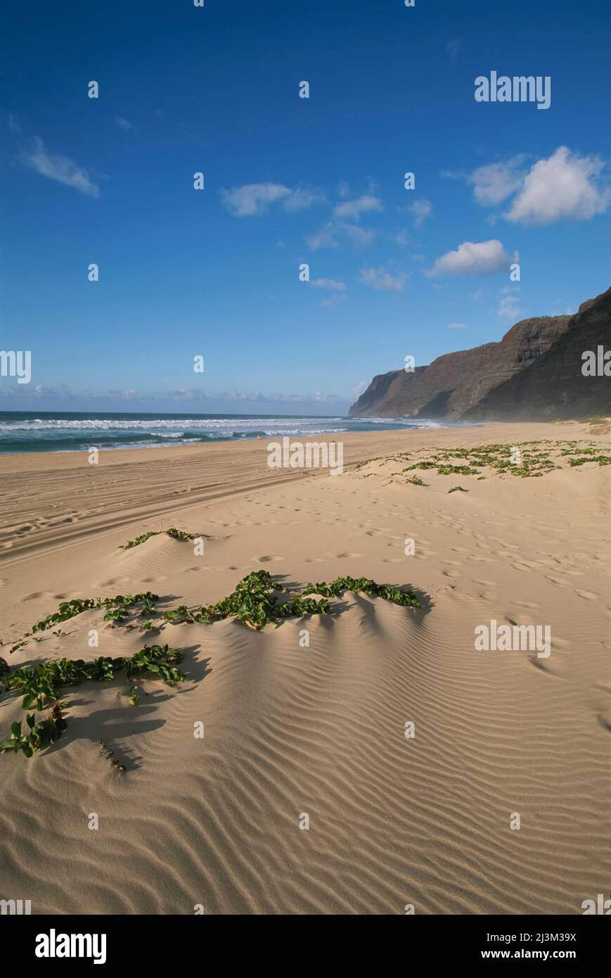 Beach in Polihale State Park.; Kauai Island, Hawaiian Islands. Stock Photo