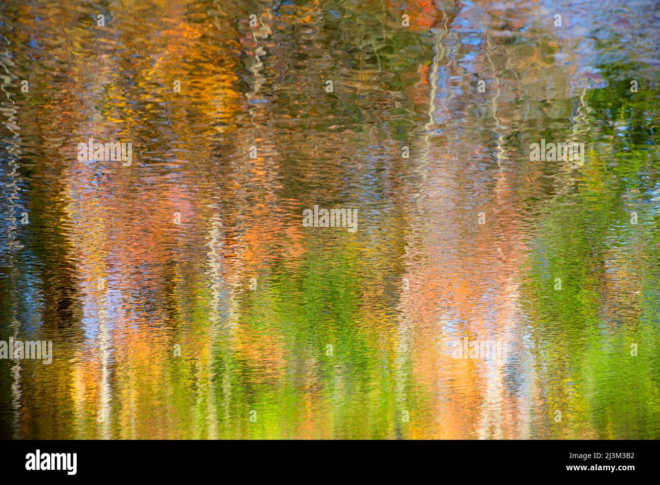 Reflections of fall coloured foliage in a pond; Chagrin Falls, Ohio, United States of America Stock Photo