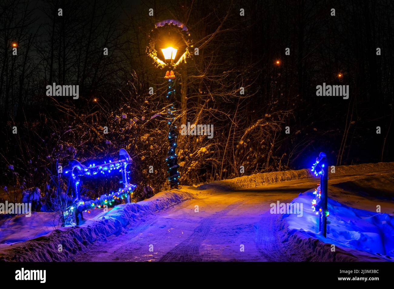 Christmas lights illuminate a path at night in a snowy park in winter