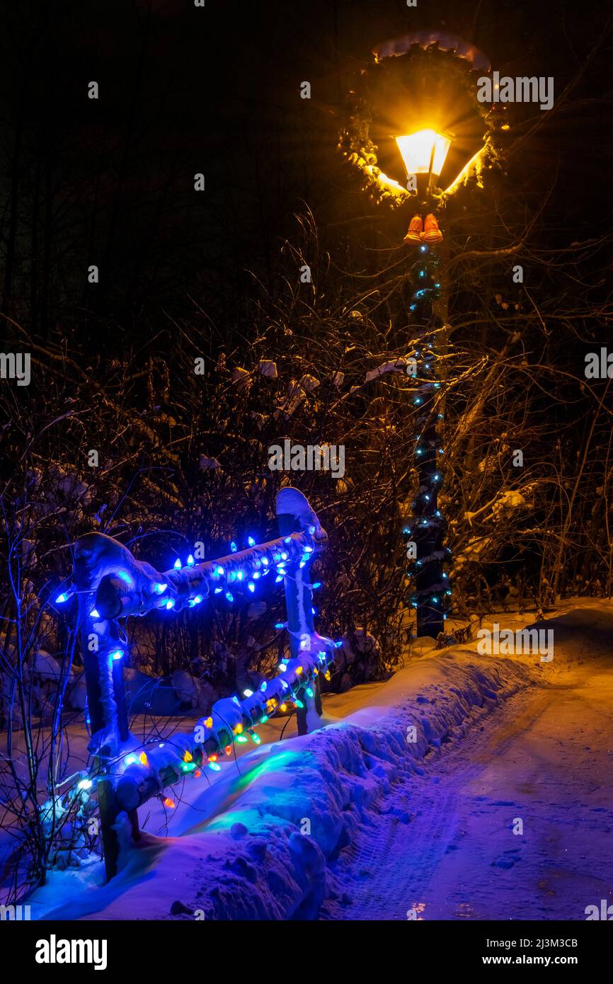 Christmas lights illuminate a path at night in a snowy park in winter