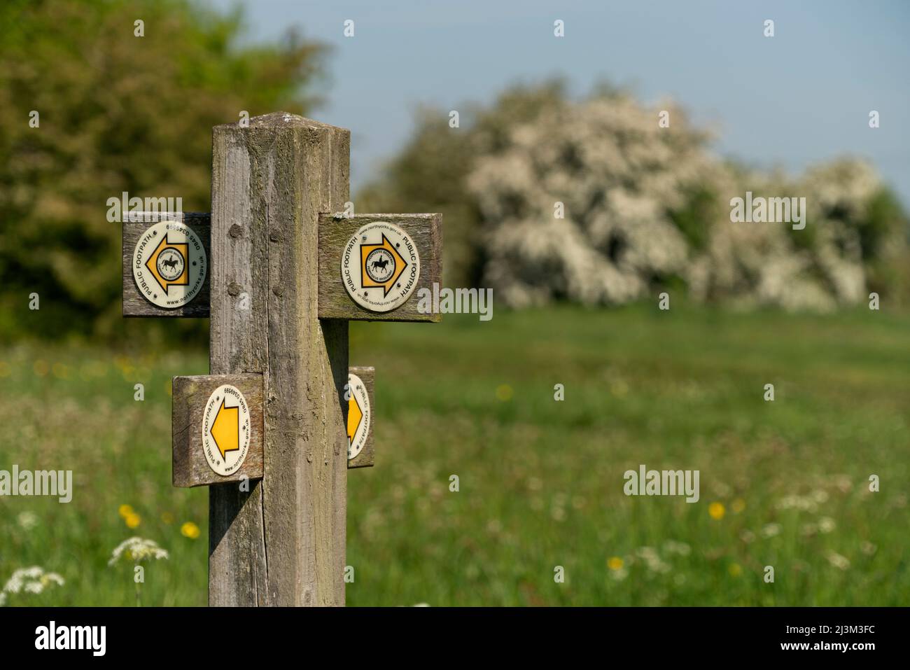 Directional signs for a public footpath with a pictogram of a rider on horseback on an arrow; Ravensworth, Richmondshire, England Stock Photo