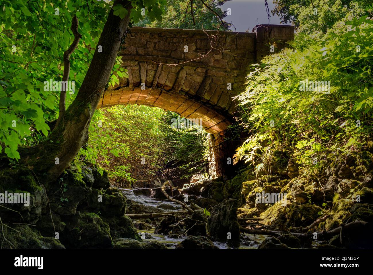 Old stone bridge over a stream; Hawthorn, Durham, England Stock Photo