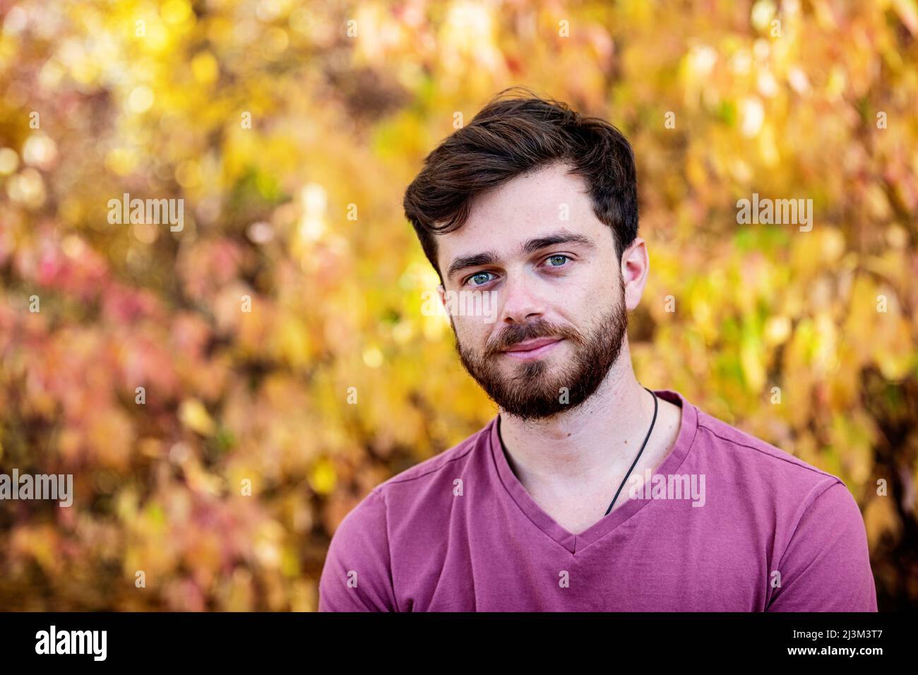 Head and shoulders portrait of a man outdoors in a park in autumn ...