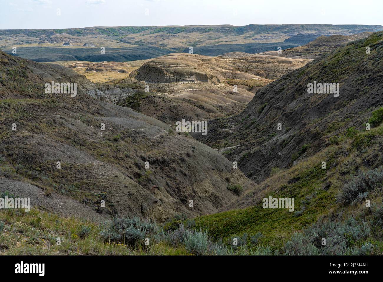 Valley of 1000 Devils in the East Block of Grasslands National Park, which features amazing displays of erosion and geology; Saskatchewan, Canada Stock Photo