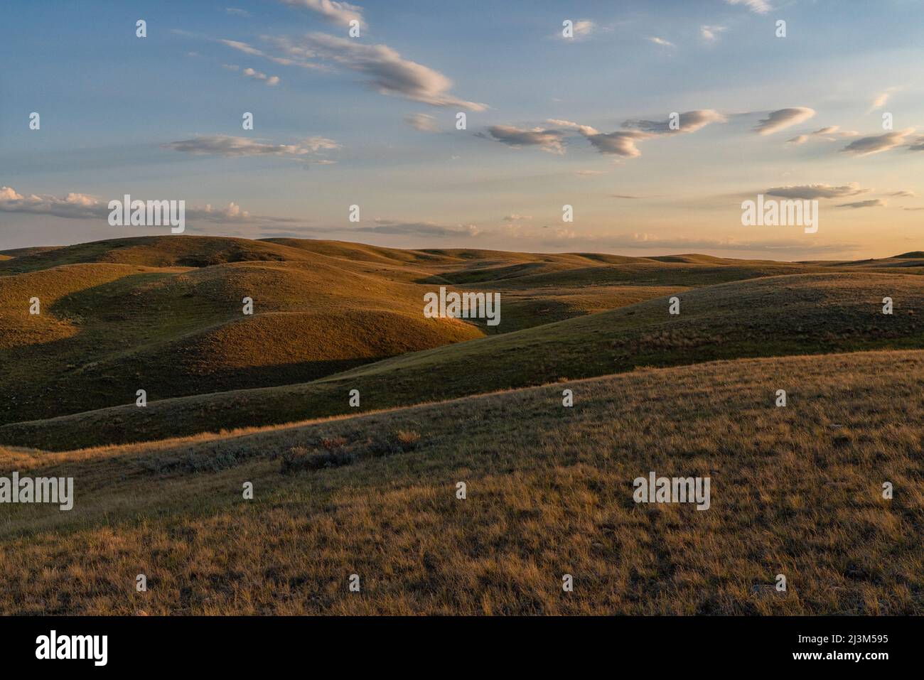 Late day light illuminates the hills and gullies of Southern Saskatchewan; Saskatchewan, Canada Stock Photo