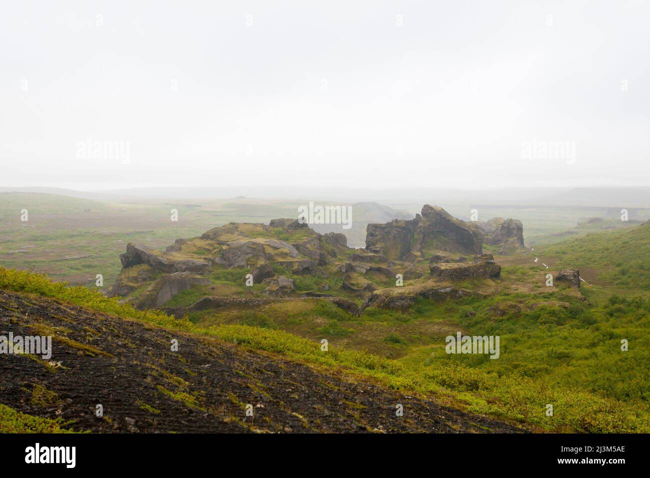Iceland landscape. Jokulsargljufur National Park on a raining day, Iceland Stock Photo