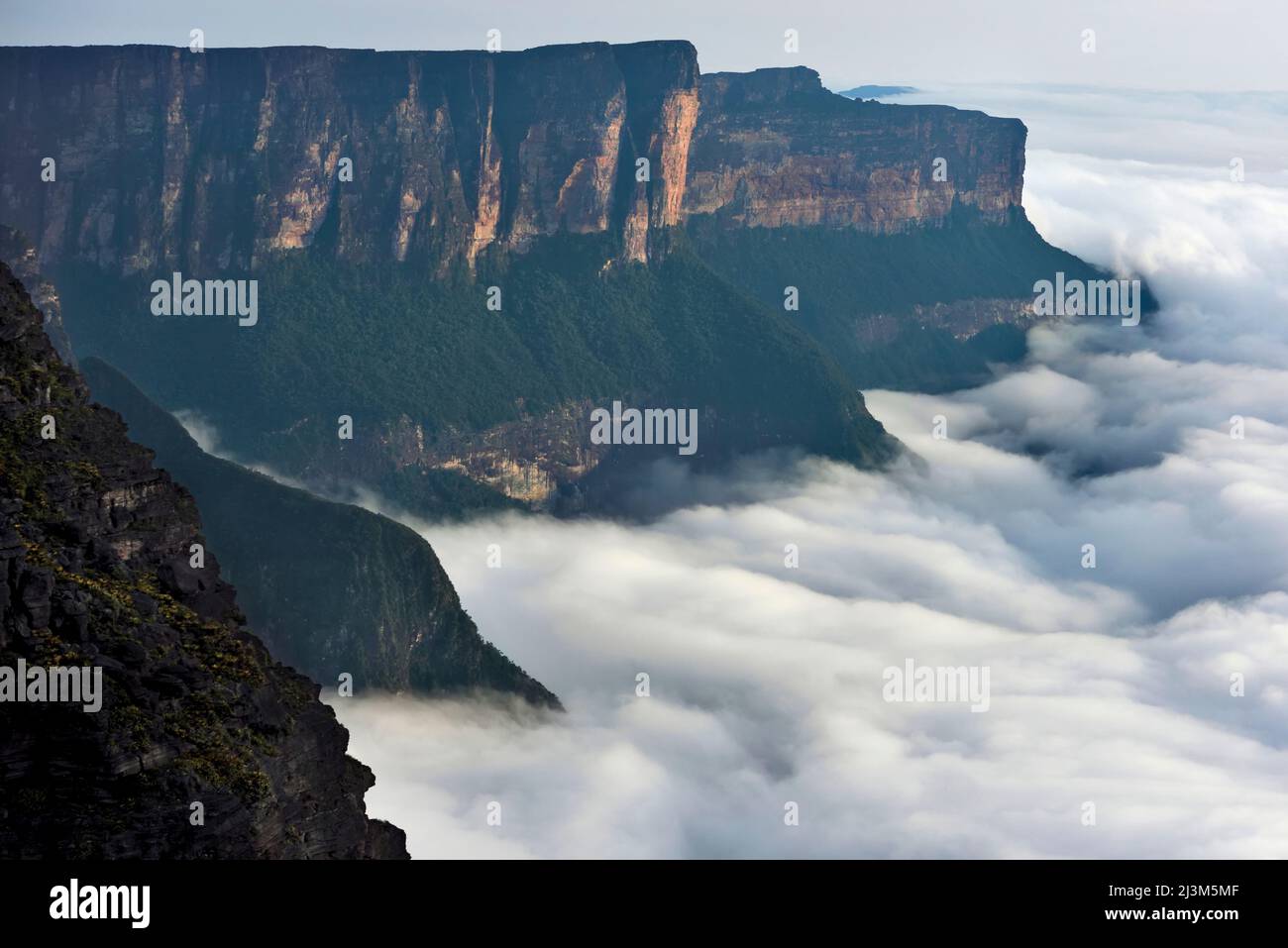 The east facing cliffs of Auyan Tepui.; Gran Sabana, Venezuela. Stock Photo
