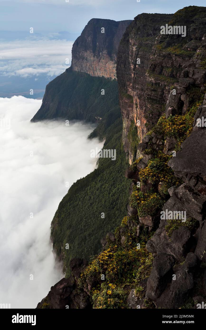The east facing cliffs of Auyan Tepui.; Gran Sabana, Venezuela. Stock Photo