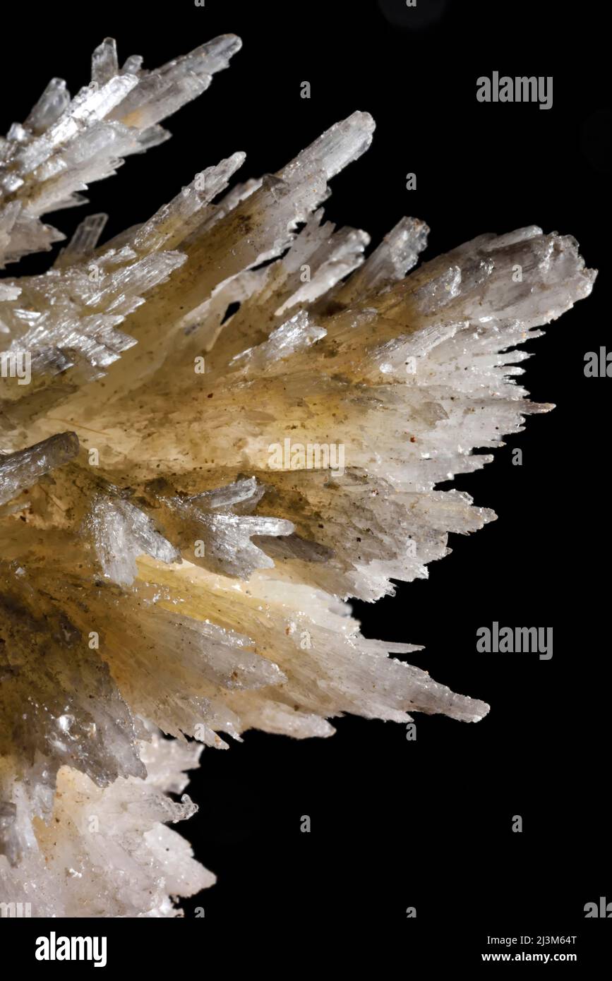 Detail of a piece of gypsum crystal growing out from the floor of a passage inside Imawari Yueta.; Gran Sabana, Venezuela. Stock Photo