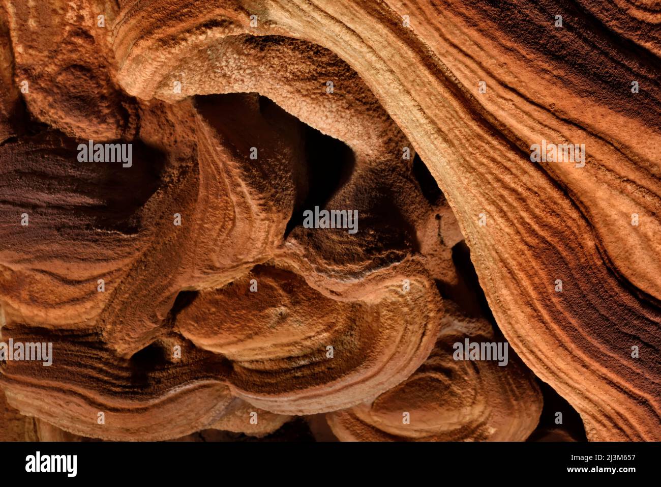 Detail of a gypsum crusted formation inside a cave in Auyan Tepui.; Gran Sabana, Venezuela. Stock Photo