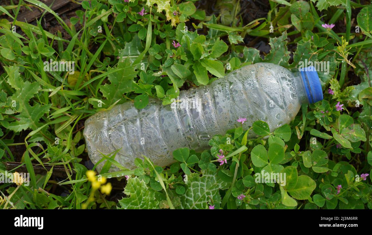 Plastic pollution. Empty plastic bottles on the grass. Pollution concept. Trash empty beverage packages thrown away Stock Photo