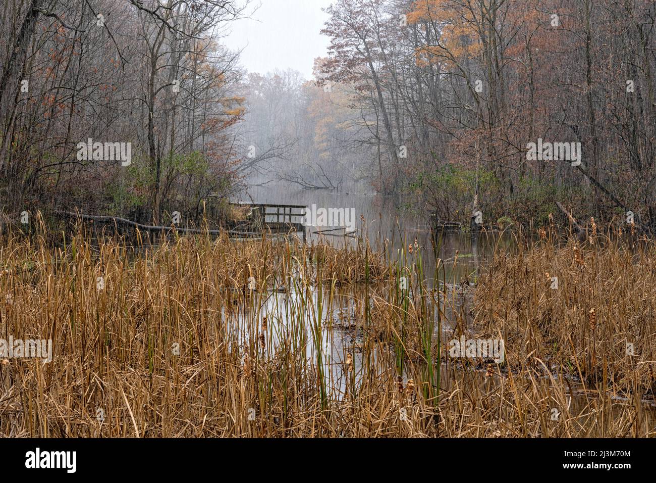 Snow falling gently over a pond in autumn in Ontario; London, Ontario, Canada Stock Photo